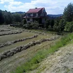 Widok *