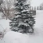 Widok