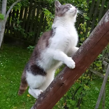 Widok Appartamento