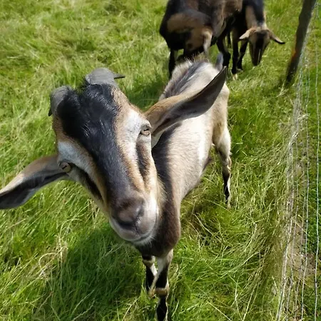 Widok * Czarna Góra