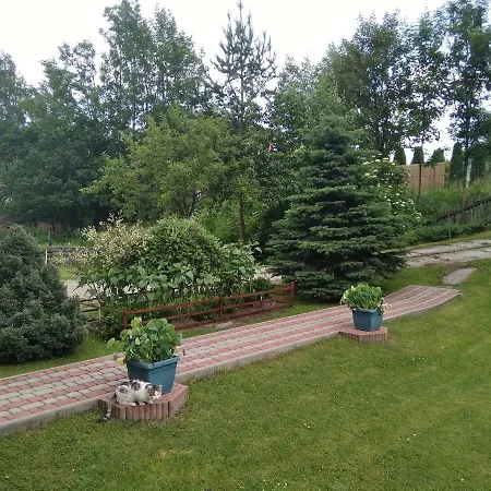 Widok