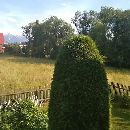 Widok