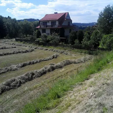 Widok *