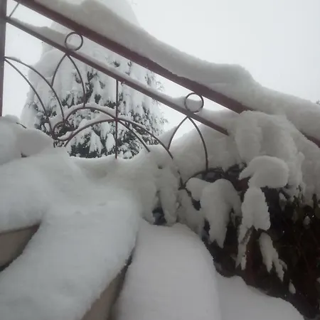 Widok *