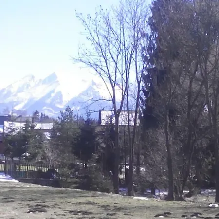 Widok