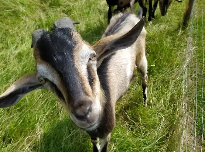 Widok * Czarna Góra