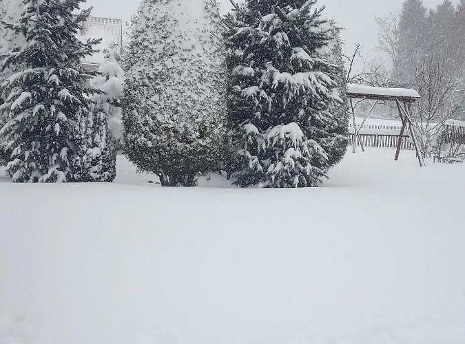 Widok Апартаменты *